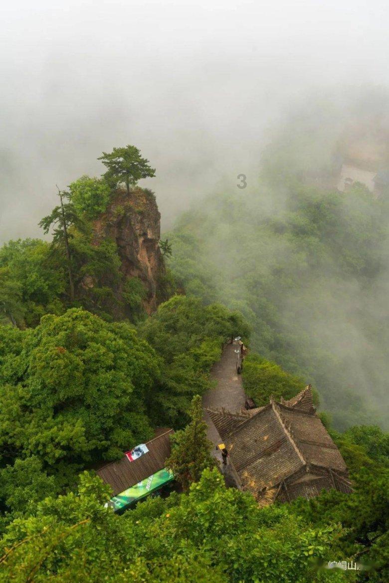 虫虫助手下载