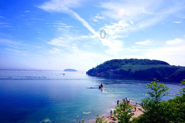 沪江开心词场
