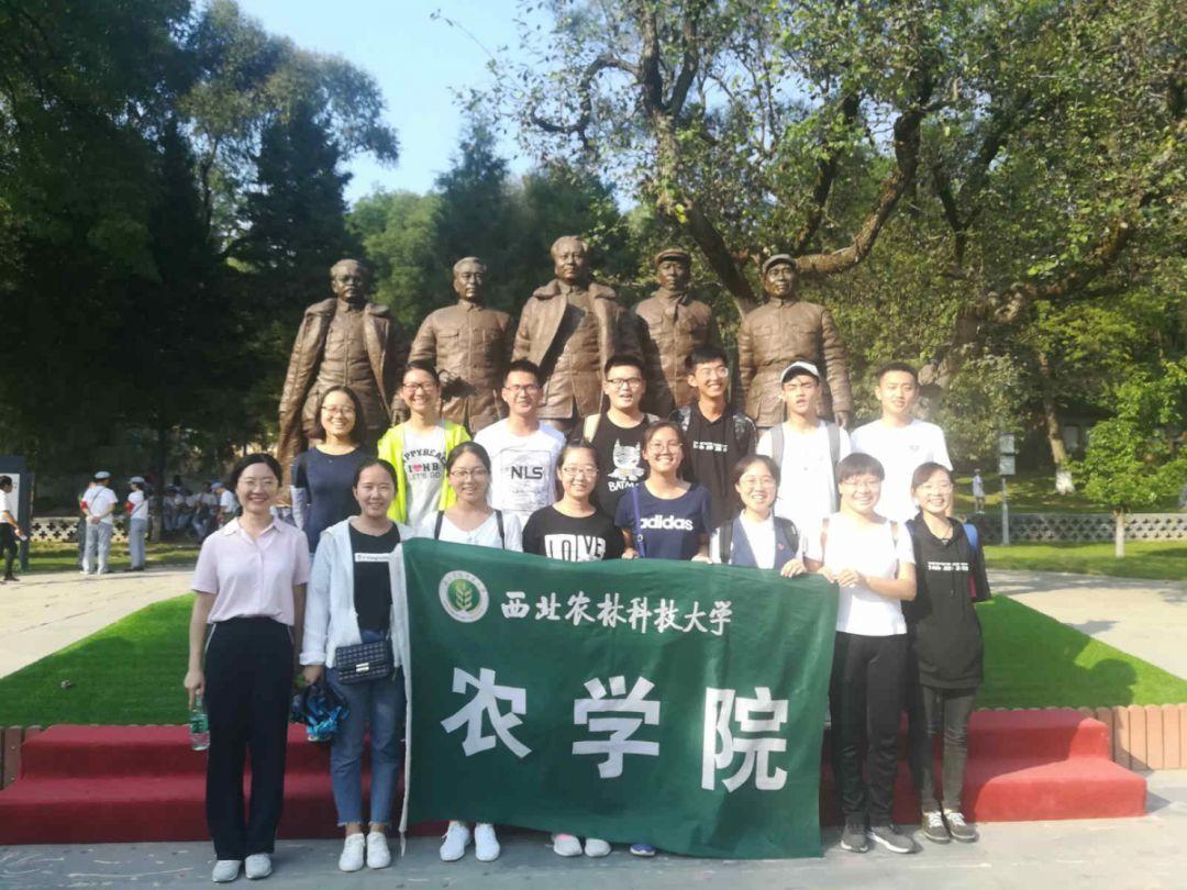沪江开心词场
