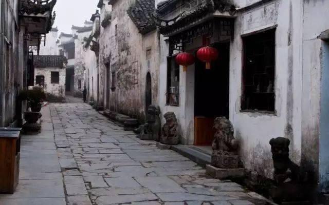 小猫钓鱼游戏龙王版有船