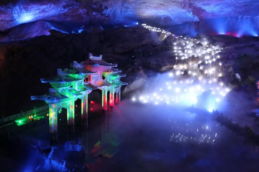 动物帮帮忙保卫家园